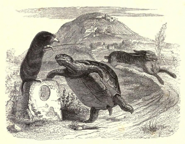 Le lièvre et la tortue